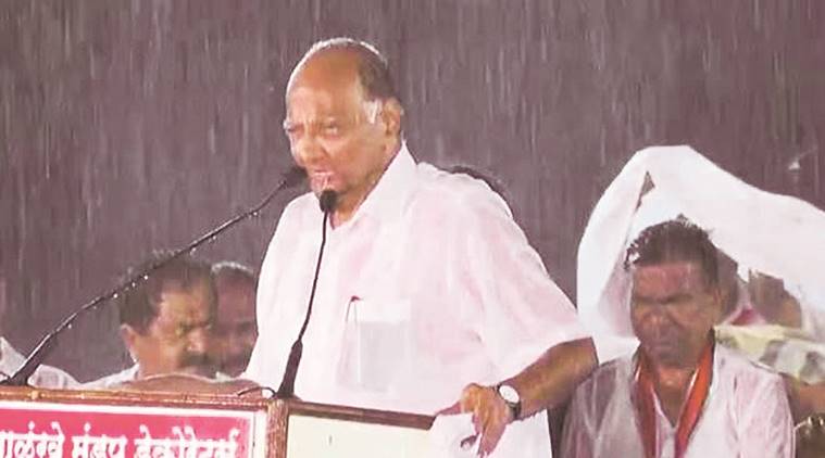 Satara bypoll: Pawar’s rain-soaked speech drowns Shivaji descendant in own backyard
