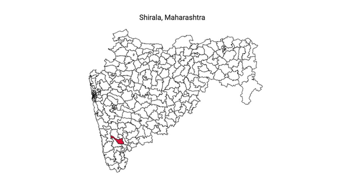 Shirala Election Result, Shirala Election Result 2019, Shirala Vidhan Sabha Chunav Result, Shirala Vidhan Sabha Chunav Result 2019