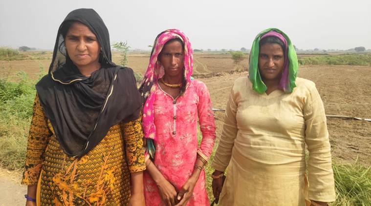 haryana assembly election, haryana assembly polls, nuh, nuh sex ration, nuh district, nuh health facilities