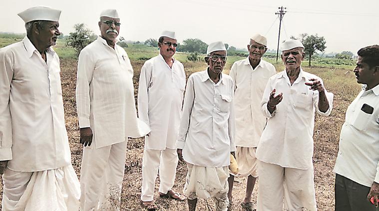 Swarms of locusts in villages: Farmers, officials on their toes in Kutch