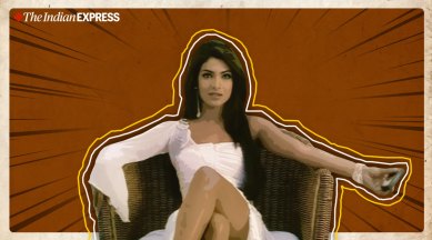 best roles priyanka chopra aitraaz sonia