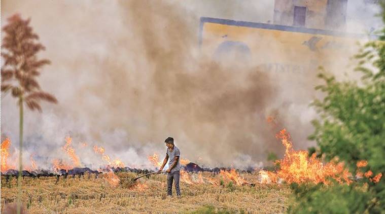 stubble burning, red entry against farmers, air pollution, pollution before diwali, chandigarh news