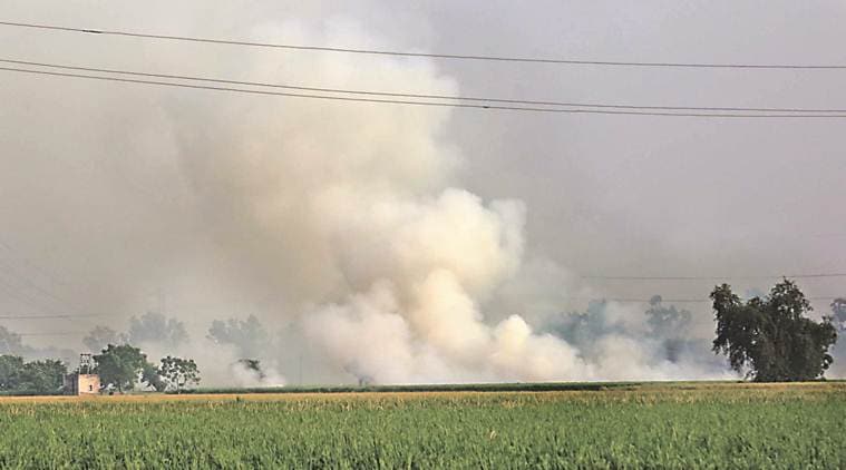 stubble burning in Punjab and Haryana, high court order on stubble burning, air pollution,