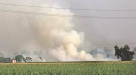 stubble burning in Punjab and Haryana, high court order on stubble burning, air pollution,