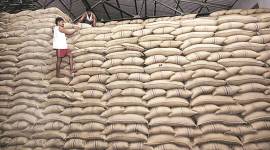 coronavirus maharashtra, maharashtra sugar mills, pune sugar mills, pune news, latest news, indian expresscoronavirus maharashtra, maharashtra sugar mills, pune sugar mills, pune news, latest news, indian express