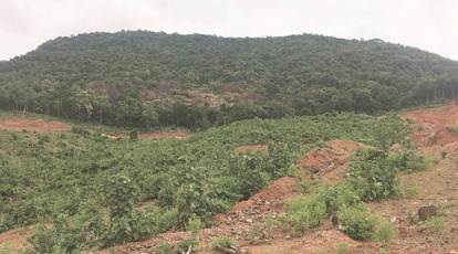 Gadchiroli villagers fear losing forest, way of life and livelihood after former mining minister is re-elected | Mumbai News - The Indian Express