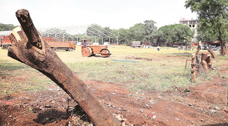 pune city news, S P College trees cut, S P College trees cut for modi rally, trees cut for modi rally, narendra modi