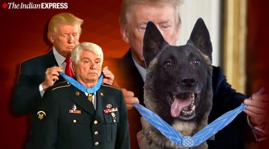 donald trump, donald trump tweets fake dog picture, trump tweets dog viral picture, Trump, USA, trending, indian express, indian express news