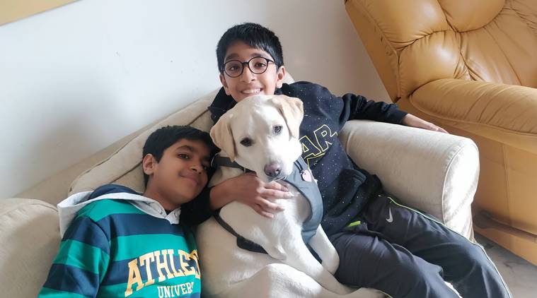 pets and kids, twins