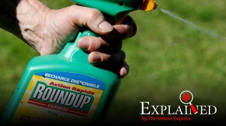 Monsanto, Monsanto fined, glyphosate-based herbicides, Monsanto sued, Monsanto case, Roundup cancer trial, Monsanto cancer