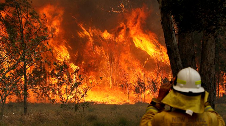 Past decade of exceptional heat likely to be hottest on record wmo report
