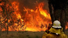 A firefighter on property protection watches the progress of bushfires in Old Bar, New South Wales no alt set