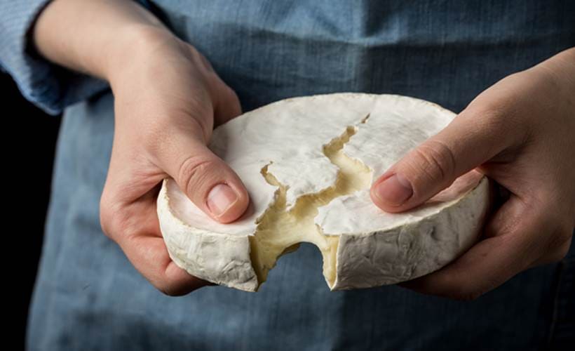 cheese, different varieties of cheese, world's best cheese, indian express, indian express news