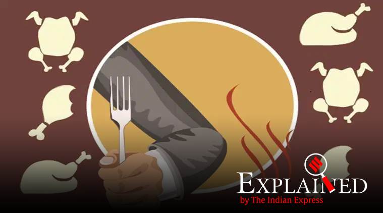 broiler chicken, why broiler chicken is chewy, wooden breast syndrome in chickens, what is wooden breast syndrome, indian express explained