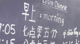 learning a new language, how does adults learn a new language, language learnt by adults, learning chinese, learning a new language, indian express, indian express, indian express news