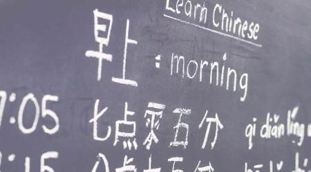 learning a new language, how does adults learn a new language, language learnt by adults, learning chinese, learning a new language, indian express, indian express, indian express news