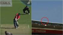 Watch: Dawid Malan hits James Neesham’s delivery out of Wellington Stadium