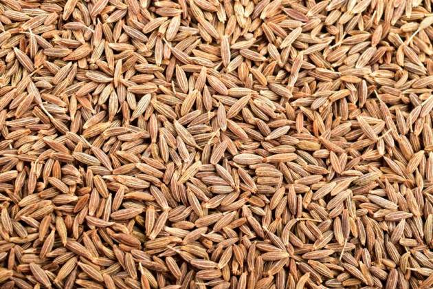 cumin seeds, jeera, jeera seeds, health benefits of jeera seeds