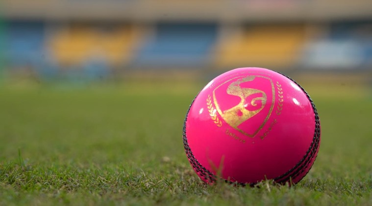 pink ball test, eden garden stadium, pink ball, Day and Night Test, Kolkata test, pink ball cricket, indian express, sports news, cricket news 