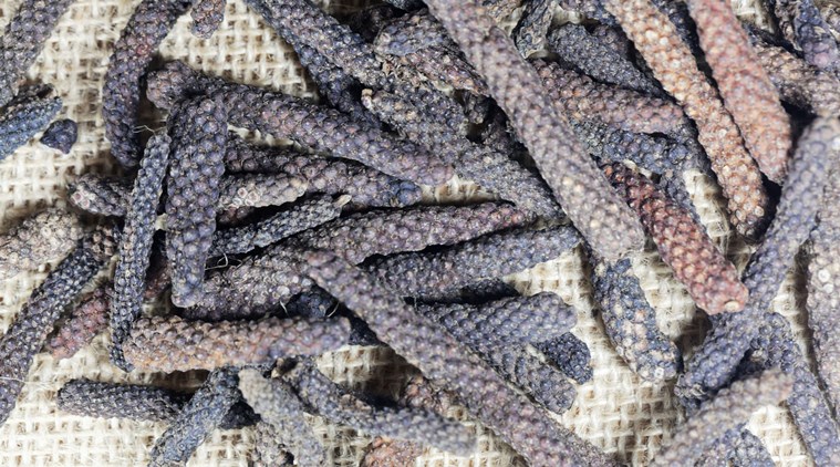 long pepper, pippali, ayurveda, diabetes, indianexpress.com, indianexpress, benefits of pippali, what is pippali, herbs and spices for diabetes management, gas issues, how to relieve constipation, gastric issues,