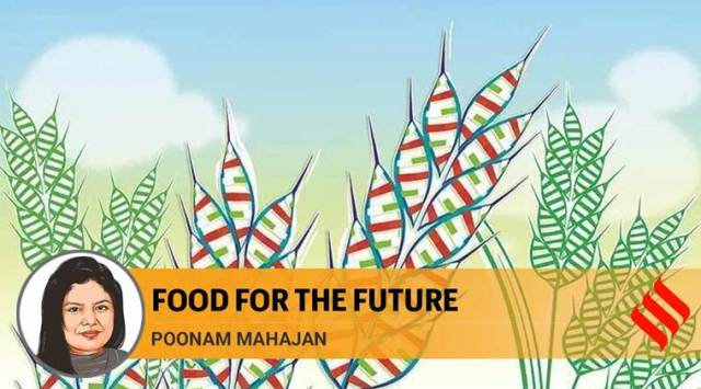 We need a new Green Revolution — one that focuses on the environment