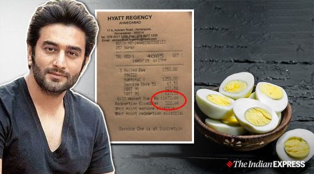 Shekhar, Shekhar egg hyatt bill