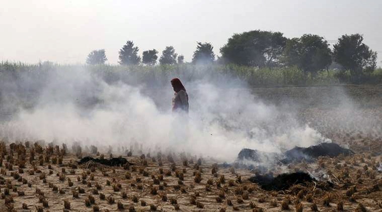 Sangrur farmers, Sangrur farm fires, Sangrur stubble burning, stubble burning in Sangrur, farm fires in Sangrur, Delhi pollution, Delhi air quality, Delhi smog, Delhi air pollution, India news, Indian Express