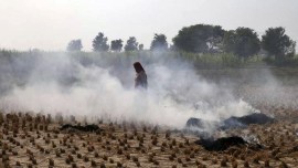 2,415 wheat stubble burning incidents so far, 6% higher than last year