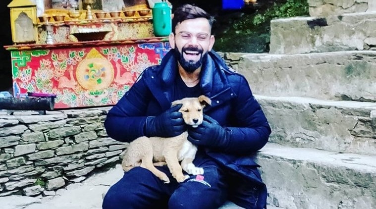 virat kohli, PETA India, virat kohli vegetarian, indianexpress.com, indianexpress, PETA India Person of the Year, animal care, animal help, PETA Campaigns, Virat Kohli animal love