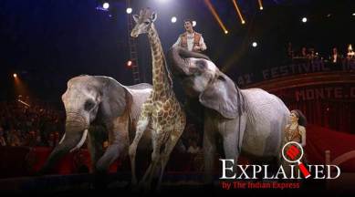 Paris bans wild animals from circuses: Here's what this means for animal rights | Explained News,The Indian Express Paris bans wild animals from circuses: Here's what this means for animal rights | Explained News,The Indian Express