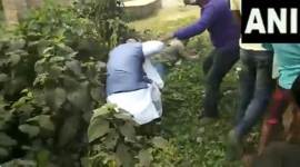 Bengal bypoll, west bengal bypoll, jay prakash majumdar, bjp leader beaten up, Karimpur, Kaliaganj, kharagpur, tmc bjp, indian express