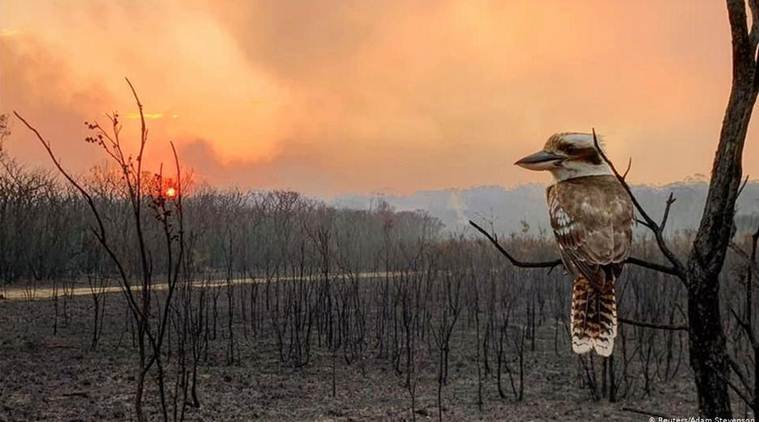 Australia fires will not be contained for ‘many weeks’