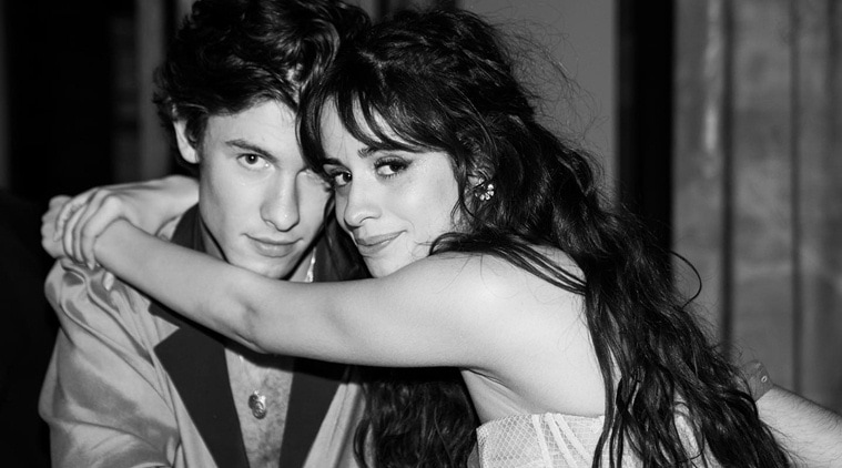 Camila Cabello professes her love for Shawn Mendes in an ...