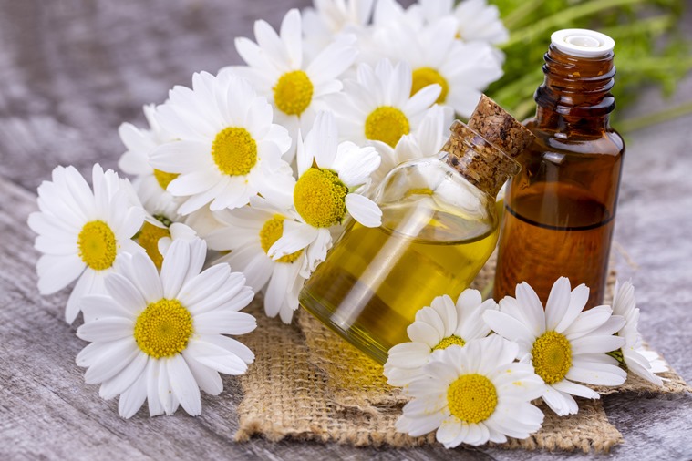 essential oils, what are the uses of essential oils, how to use essential oils, lavender essential oil, lemon essential oil, peppermint essential oil, wellness, mental health, indian express, lifestyle