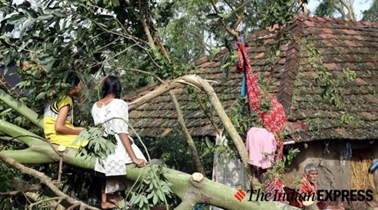 Cyclone Bulbul, Bulbul cyclone, Bulbul, cyclone bulbul destruction, Cyclone Bulbul West Bengal, India news, Indian Express