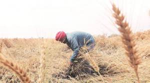 Moody’s cites jobs, rural stress to cut ratings outlook to negative from stable