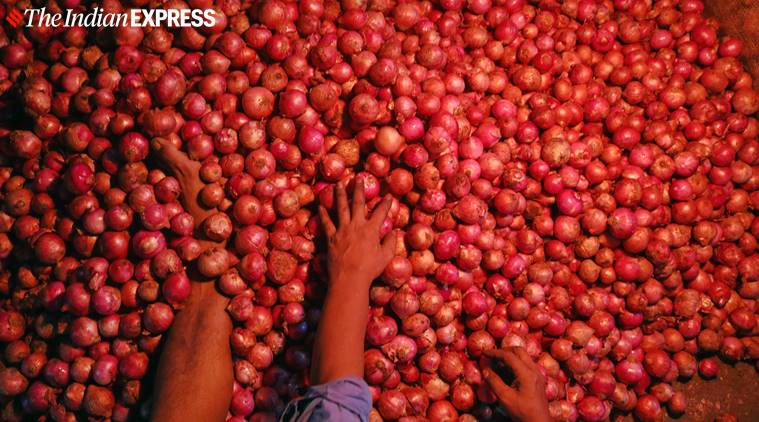 onion prices, Nashik onion market, I-T officials visit onion traders, onion prices in maharashtra, onion stock limit, indian express