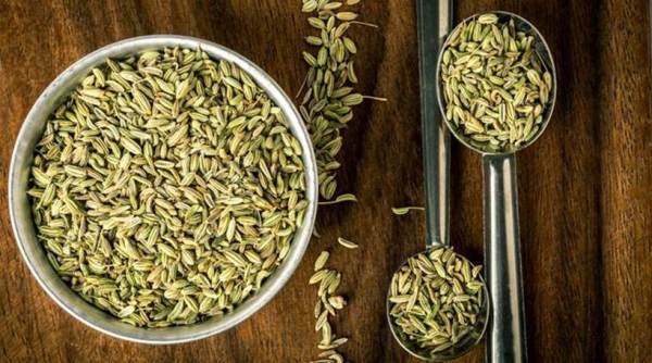 fennel, health benefits of saunf, what are fennel seeds?