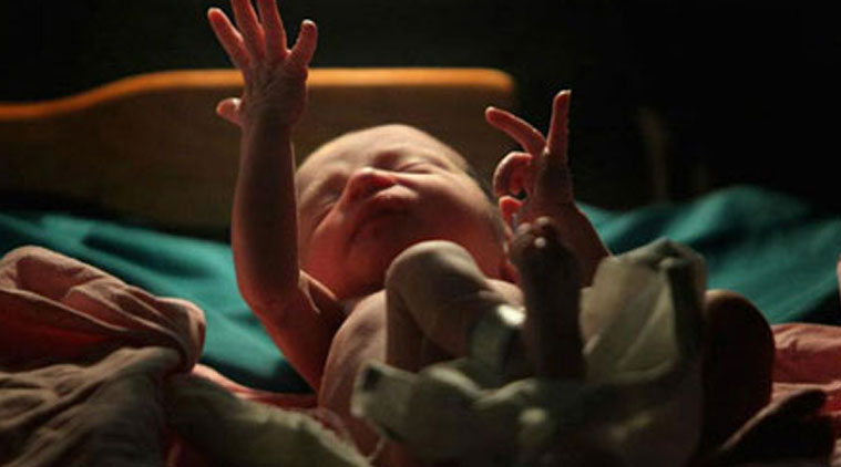 foetuses found in habra, foetuses found in north 24 parganas, kolkata city news, west bengal news