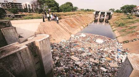 782 dengue cases in Vadodara since Sept: VMC health department