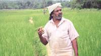 Living gene bank: Tribal farmer grows, preserves 52 native rice varieties