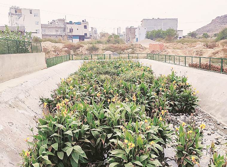 delhi news, Sannoth village Bawana, Irrigation and Flood Control department, delhi waste water treatment