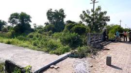tiger spotted in Nagpur, tiger spotted in MIHAN, Multi-modal International Hub Airport at Nagpur, MIHAN project delays, tigers in Maharashtra, indian express