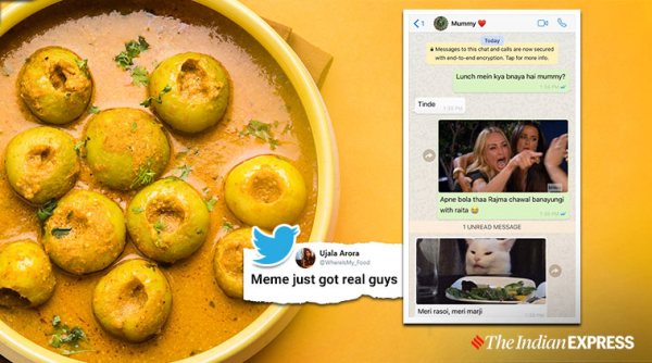 woman yelling at cat, viral meme, desi memes, desi version of woman yelling at cat, funny desi mom chat, viral news, funny news, latest memes, indian express