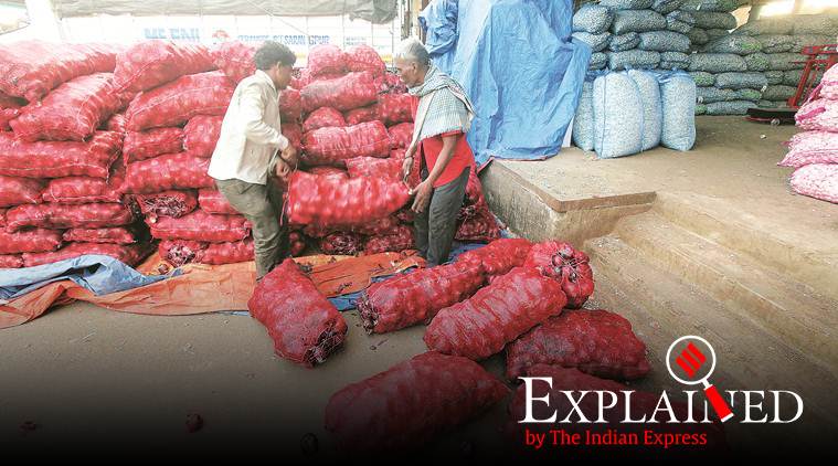 Onion prices, onion prices in India, onion prices in Delhi, onion rates, Express Explained, Indian Express