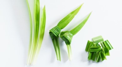 pandan leaves, south east asian cuisine, vanilla of the east pandan, pandan leaves in india, indianexpress.com, indianexpress, pandan leaves cuisine,
