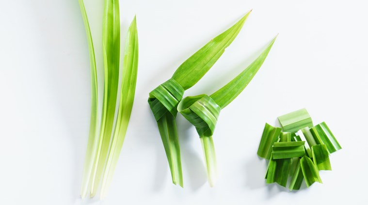 How much do you know about pandan leaves, the ‘Vanilla of the East