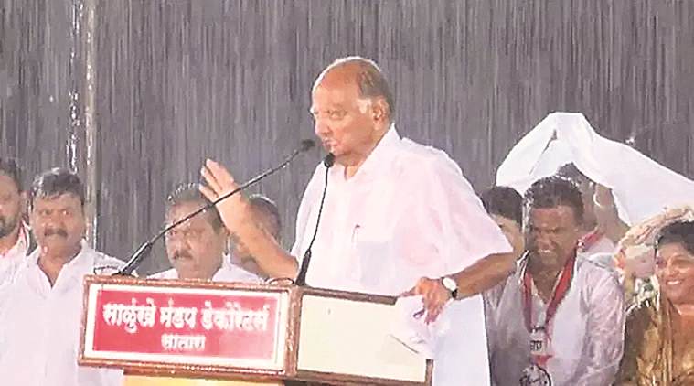 sharad pawar, sharad pawar rain speech, sharad pawar satara rally rain speech, sharad pawar news, maharashtra news, maharashtra political news
