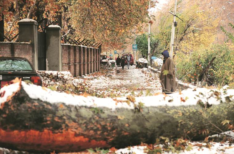 kashmir snow, srinagar snowfall, jammu kashmir weather, jammu kashmir snow, kashmir lockdown, kashmir article 370, srinagar winter, jammu kashmir winter, indian express news