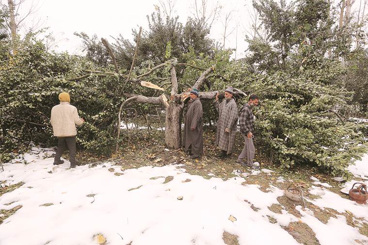 kashmir snow, srinagar snowfall, jammu kashmir weather, jammu kashmir snow, kashmir lockdown, kashmir article 370, srinagar winter, jammu kashmir winter, indian express news